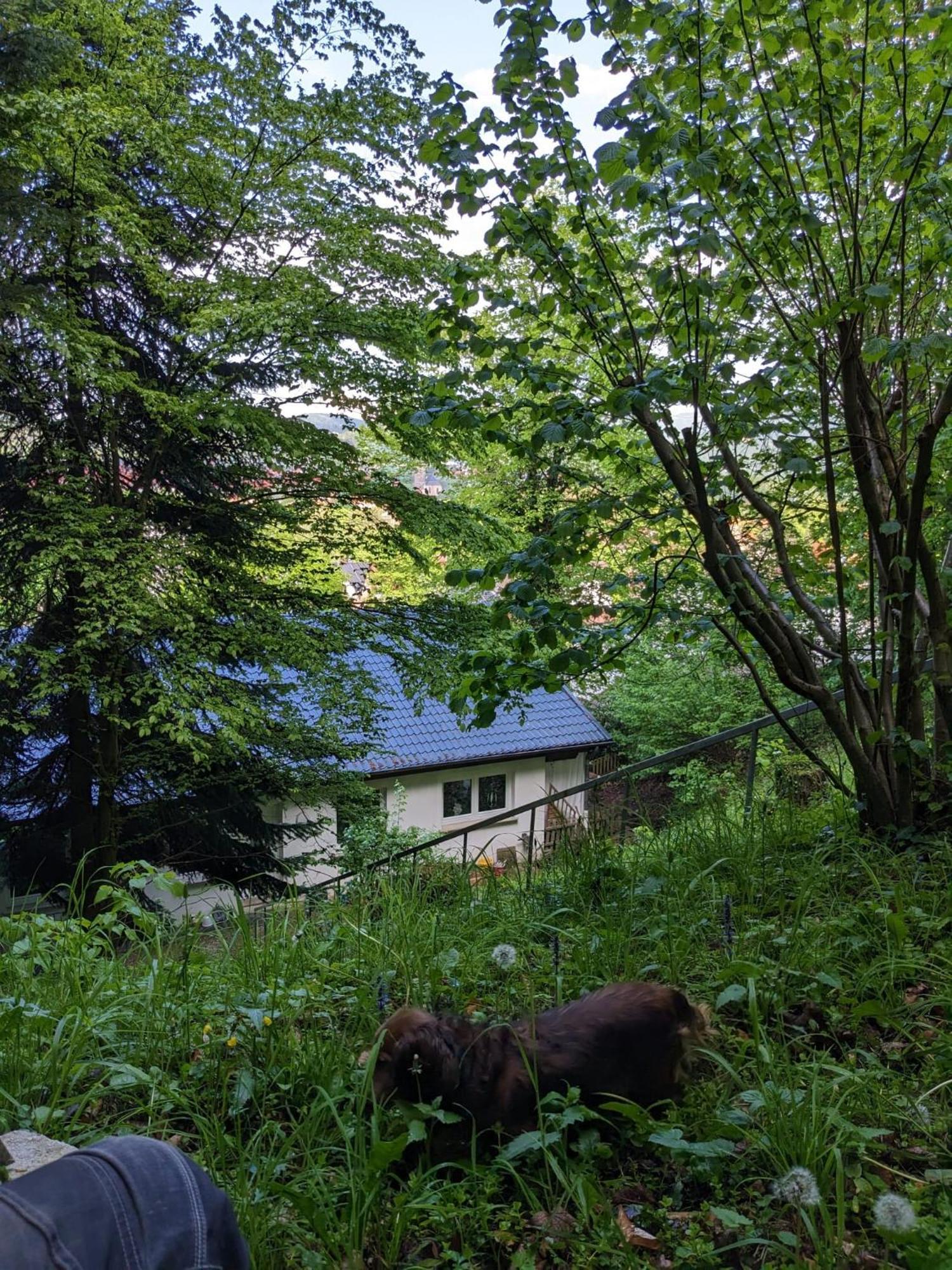 Ferienwohnung Bad Sooden- Allendorf Εξωτερικό φωτογραφία